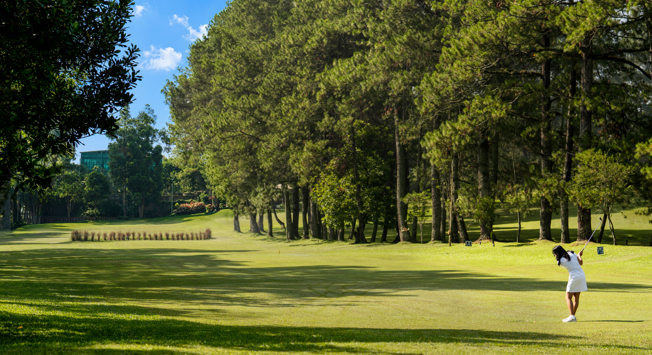 Stay & Swing Package